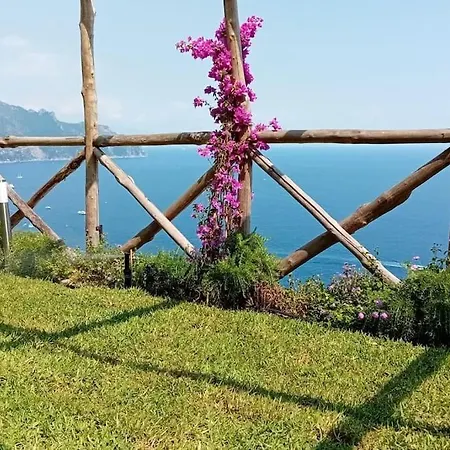 Alba - Rubino Amalfi